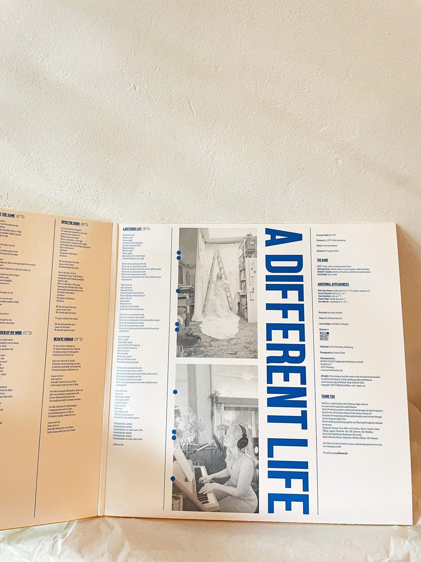 A Different Life (2LP)