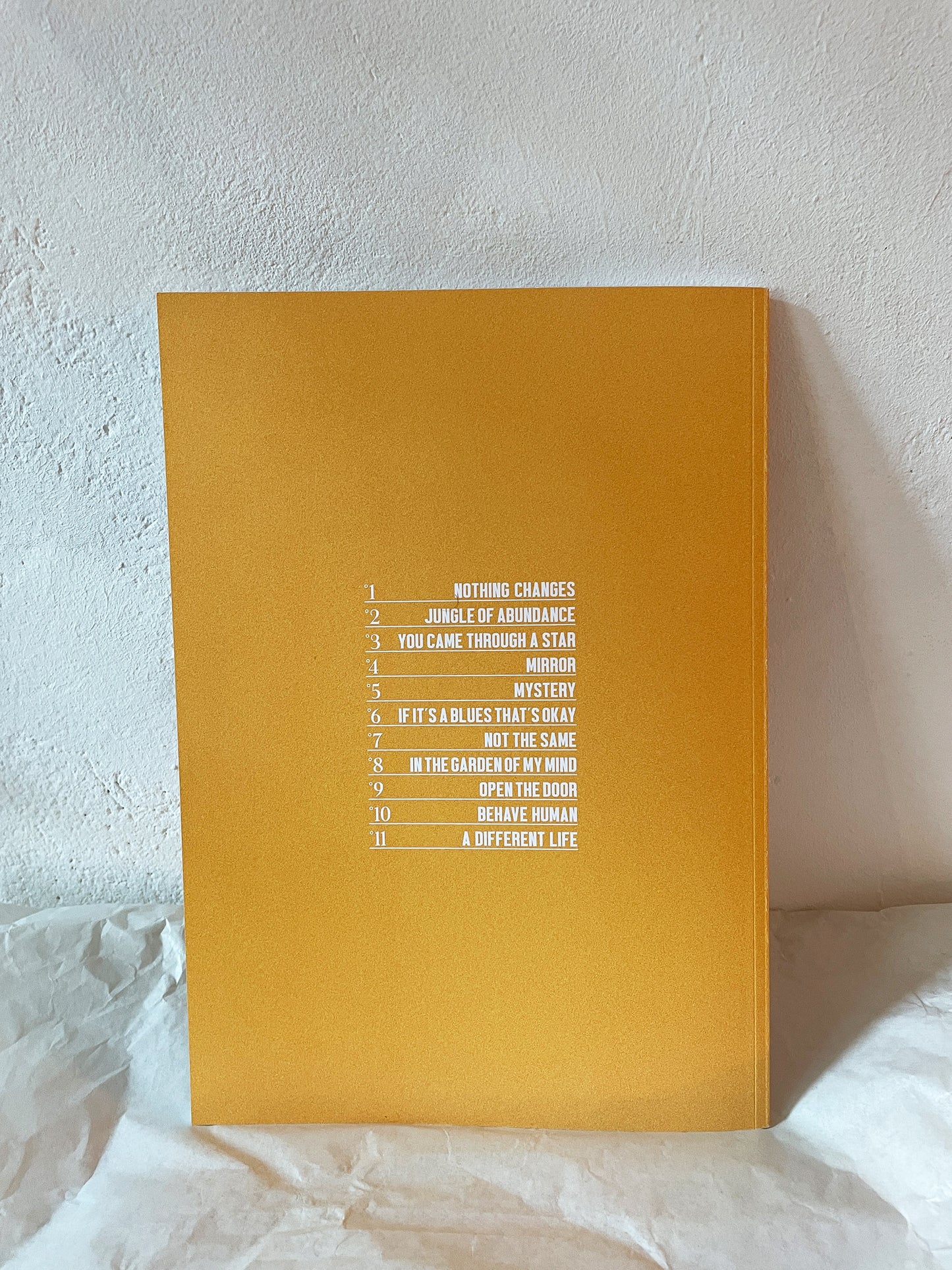 A Different Life (SONGBOOK)