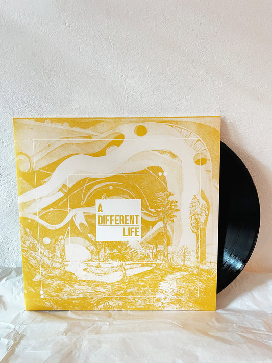 A Different Life (2LP)